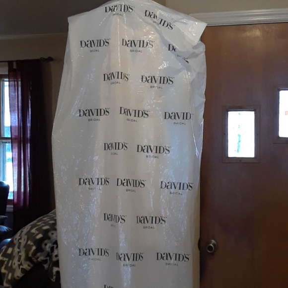 Formal/Prom Dress - Picture 7 of 8